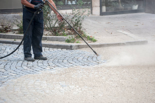 Best Boat and Dock Cleaning  in Angels, CA